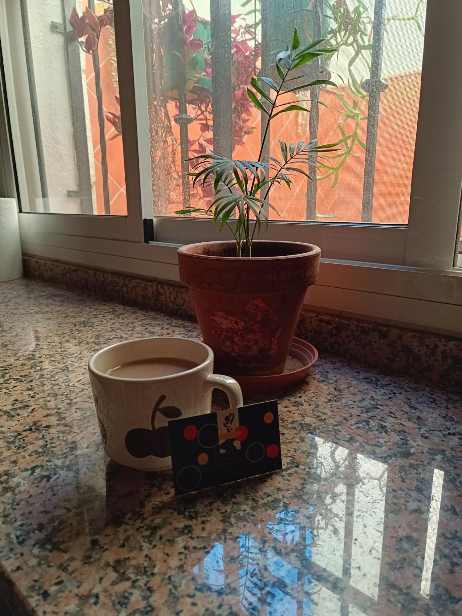 Casa Flamenca Villa Кастиеха де ла Куеста Екстериор снимка